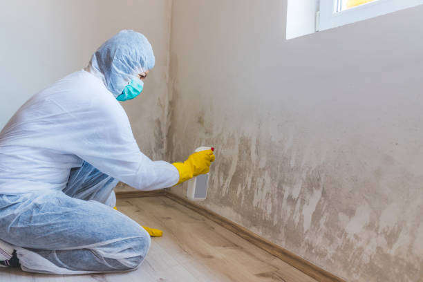 Licensed Crawl Space Mold Removal service in Cedar Grove, NC - WQB Mold Removal