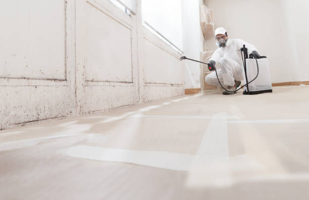 24/7 Emergency Crawl Space Mold Removal experts in Cedar Grove, NC