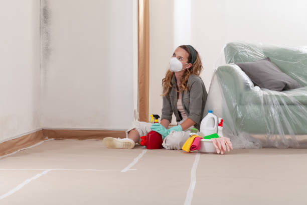 Reliable Crawl Space Mold Removal contractor in Cedar Grove, NC by WQB Mold Removal