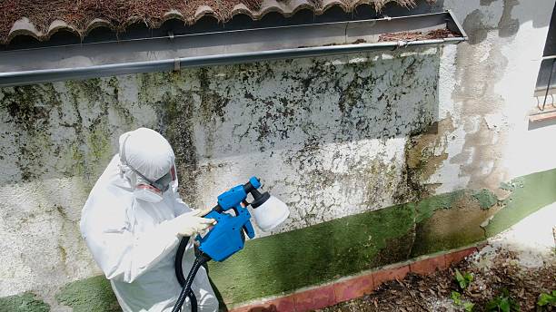 Top rated local Crawl Space Mold Removal specialists in Cedar Grove, NC